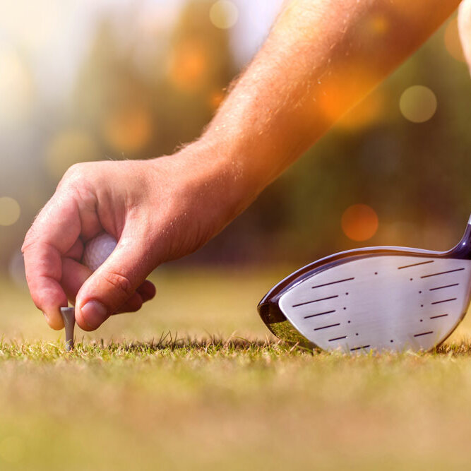 Golftees / Golftees / Tees